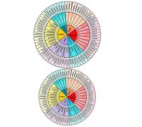 Healvian 2 Sheets Feelings Wheel Decal Stickers for Computer and Diary Book Ultra-Strong Adhesive and Easy to Peel, Emotion Wheel Stickers for Adults