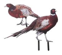 Healvian 2pcs Acrylic Pheasant Garden Decorations with Double-sided Design and Weather Resistant Material, Lifelike Lawn Ornament to Decorate the Park or Flower Pot