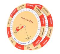 Healvian 2pcs Pregnancy Wheel Fetal Development Chart Color Printed Paper Tracker for Expecting Mothers Comprehensive Guide to Fetal Growth Stages for Pregnancy Journals