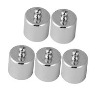 Healvian 5pcs 100g M2 Grade Chrome-Plated Steel Calibration Weights Set for Scale Balance Calibration and Electronic Balance Teaching Instruments