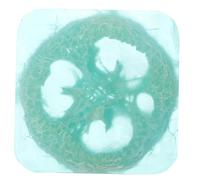 Healvian Handmade Loofah Soap Bar 100g Natural Silk Gourd Exfoliating Bathing Soap with Rose Essential Oil for Refreshing Skin Care and Gentle Hand Cleansing