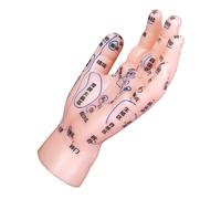 Healvian Human Hand Reflexology Model for Tcm Education with PVC Material Clearly Labeled Acupoints for Acupuncture and Massage Learning Beginner-Friendly Hand Zone Simulation for