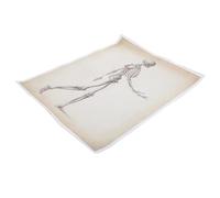 Healvian Human Skeletal System Anatomy Poster 40x50cm Educational Anatomical Chart for Science Classroom and Medical Study, Muscle and Skeleton Human Anatomy Wall Art