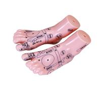 Healvian Reflexology Foot Model for Acupuncture Point Massage Durable Teaching Tool for Tcm Students and Practitioners for Learning Foot Reflexology Techniques