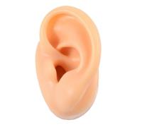 Healvian Silicone Fake Ear Model Realistic Texture Left Ear Display Jewelry Props for Practice Teaching Beauty Schools Studios