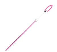 HEANUJJ Aluminium Alloy Scuba Bottle Knocker Stick with Hand Lanyard, Sturdy Underwater Dive Stick for Observing Marine Life and Exploring The Ocean, Convenient and Resistant to Harsh