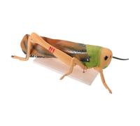 HEANUJJ Entomology Teaching Model Grasshopper with Detachable Parts and Accurate Representation, Pvc Insect Anatomy Model for Entomology Classes and Laboratory Exercises, for Students