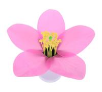 HEANUJJ Peach Blossom Biology Model for Teaching, Simulated Flower with Enlarged Structure, Plastic Educational Material for Biology Classes and Conducting Biological Experiments,