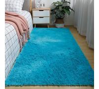 Hearda Fluffy Rugs for Bedrooms, Large Shaggy Rugs for Living Room Soft Thick Pile Plush Floor Mat with Non Slip Bottom Kids Carpet Play Mat for Bedside Kids Room (Lake Blue E,50x80cm)