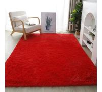 Hearda Fluffy Rugs for Bedrooms, Large Shaggy Rugs for Living Room Soft Thick Pile Plush Floor Mat with Non Slip Bottom Kids Carpet Play Mat for Bedside Kids Room (Red E,60x90cm)