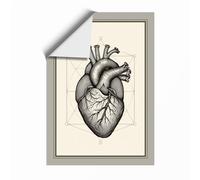 Heart Anatomical Study Minimalist Unframed Wall Art Print A3 (42×29.7cm), Wall Decor for Living Room, Bedroom, Office & Home, Art Gift
