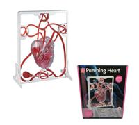 Heart and Blood Circulation Model, Blood Circulation Demonstration Model丨Scientific Experiment Kit, Dynamic Simulation of Blood Flow, Human Organ Model for Cardiology Clinic Popular Science