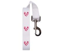 'Heart Full Of Hearts' Dog Lead/Leash (DL00021527)