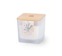 Heart & Home Restore Large Luxury Soy Blend Candle -Blissful Oasis - Whisper Wick - Vegan Friendly - Long Lasting Aroma for Home and Relaxation