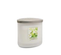 Heart & Home - Elipse Candles Jar White Jasmine & Freesia 220g for Men and Women
