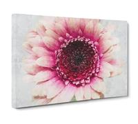 Heart Of A Pink Gerbera Canvas Print | Gallery Wrapped 30mm Frame Wall Art | 20x14 inches | Ready to Hang | Modern Picture | Living Room Bedroom Lounge Office