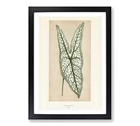 Heart of Jesus Leaf by Benjamin Fawcett Framed Print | A2 Black Framed Wall Art | Ready to Hang | Modern Religious Picture | Living Room Bedroom Lounge Office