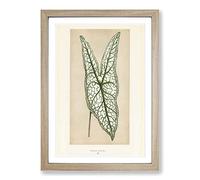 Heart of Jesus Leaf by Benjamin Fawcett Framed Print | A2 Oak Framed Wall Art | Ready to Hang | Modern Religious Picture | Living Room Bedroom Lounge Office