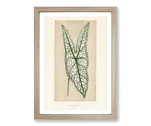 Heart of Jesus Leaf by Benjamin Fawcett Framed Print | A2 Oak Framed Wall Art | Ready to Hang | Modern Religious Picture | Living Room Bedroom Lounge Office