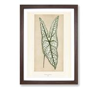 Heart of Jesus Leaf by Benjamin Fawcett Framed Print | A2 Walnut Framed Wall Art | Ready to Hang | Modern Religious Picture | Living Room Bedroom Lounge Office