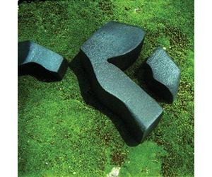HEART PRESSED BETWEEN STONES [9/7] NEW VINYL