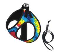 Heart Rainbow Tie-Dyed Print Harness Leash Set For Cats And Dogs, Reflective Adjustable, Soft Breathable Mesh Vest With Escape-Proof Lead, For Small Pets And Kitten Puppies
