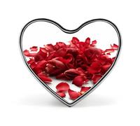 Heart Red Petals Scattered Brooch Classic Mini Pin 1 Inch Aluminum Alloy Lapel Pin Personalized Button Badge for Backpack Hat Suit Jacket Clothing Decoration