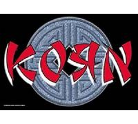 Korn Ball Logo Freak On A Leash Nue Official Textile Flag Poster 75 cm x 110 cm