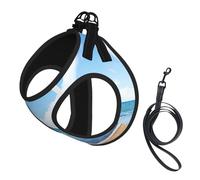 Heart Shape Romantic Beach Print Adjustable Harness Leash Set For Cats And Dogs, Soft Breathable Kitten Puppy Mesh Vest With Reflective Design, Escape-Proof Lead For Small Pets Walking Training