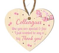 Heart-Shaped Colleagues Appreciation Plaque - "Colleagues Like You Are Special & Few" Thank You Gift with Cherry Blossom Design - Perfect for Work Friendships and Team Recognition