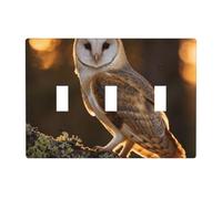Heart-Shaped owl 3 Gang Switch Plate Cover-Unbreakable Polycarbonate Wall Plate, Heat Resistant Toggle Switch Decor for Home
