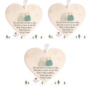 Heart-Shaped Sea Glass Friendship Decor, Sea Glass Christmas Tree Ornaments, Heart-Shaped Seas Glasss Friendship Keepsake, Seaglass Art Hanging Ornaments for Friendships (3)
