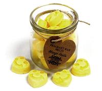 Heart-Shaped Wax (Pack of 16) Made from 100% Soy Wax, Vegan, Scented Wax for use in Oil Burners/Aroma Lamps. Mango Scent