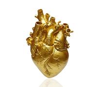 Heart Vase Anatomical Flower Pot, Decoration for Living Room and Bedroom Decorative Vase