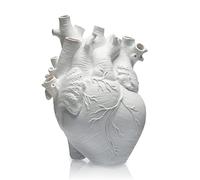Heart Vase Anatomical Flower Pot, Decoration for Living Room and Bedroom Decorative Vase (White)