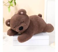 Heartbounce Puppy Toys Interactive Stuffed Animal Plush Toy with Real Heartbeat, Anxiety Calming Behavioral Aid Plush Toy for Dogs Cats Pets Bear Heartbeat + Heartbeat Box + Heating Pad