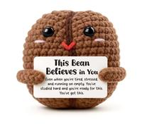 Heartfelt Gifting Emotional Support Gift for Students, Believe in Yourself Keepsake for Daughter Son, You Got This Encouragement for Exam Anxiety, Handmade Crochet Decor