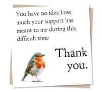 Heartfelt Robin Thank You Card - You Have No Idea How Much Your Support Has Meant To Me In This Difficult Time - Beautiful Robin Design For Friends Or Family