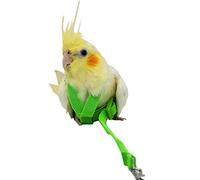 Hearthrousy Bird Leash Bird Harness Cockatiel Bird Harness Budgie Bird Harness Aviator Pet Bird Parrot Harness Leash Bird Rope Training Supplies 2 m, green