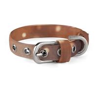 Hearts Drawn on Coffee Dog Collar for Small Medium Dogs Breakaway Cute Kitten Cat Collar Soft Adjustable Dog Collars with Safety Buckle,Pet Accessories for Walking Running