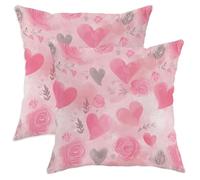 Hearts Throw Pillow Covers Set of 2, Romantic Fanciful Roses Floral Valentine Peach Soft Velvet Washable Cushion Covers Pillow for Living Room Apartment Bed Sofa Decor 24x24 Inch