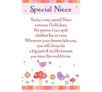 Heartwarmers - "Special Niece" Keepsake Card & Envelope - Cute Illustrated Birds and Flowers - General Card Suitable for Girls Birthday- 66mm x 94mm