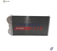 FAST FT55217 Heater matrix
