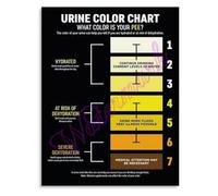 Heat Illness Prevention Poster Early Warning Signs Emergency Response Chart Summer Safety Home Office Wall Art(Framed,16x24inch(40x60cm))