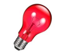 Heat Lamp for Reptiles, 100W UVA Basking Light, Terrarium Heat Lamp for Chickens, Amphibians & Mammals, Pet Supplies for Bearded Dragons, Turtles, Lizards, Pigs, Indoor Enclosures
