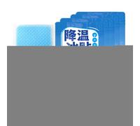 Heat Refreshing Patches | Instant Cold Packs | Mountain Accessories Against Heat Sunburn Overheating Relief Home Office School