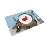 Heat Resistant Non-Slip Placemats Set of 4 PCS, cute otter Printed Dining Table Mats Washable Kitchen Place Mats for Indoor & Outdoor