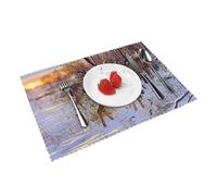 Heat Resistant Non-Slip Placemats Set of 4 PCS, Deers Picture Printed Dining Table Mats Washable Kitchen Place Mats for Indoor & Outdoor