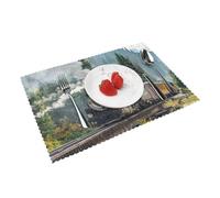 Heat Resistant Non-Slip Placemats Set of 4 PCS, Steam Train Printed Dining Table Mats Washable Kitchen Place Mats for Indoor & Outdoor