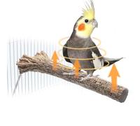 Heated Bird Perch for Cage Bird Perch Bird Warmer Cage Heater for African Grey, Parakeets, Cockatiels, Amazon Parrots, Medium Exotic Parrot